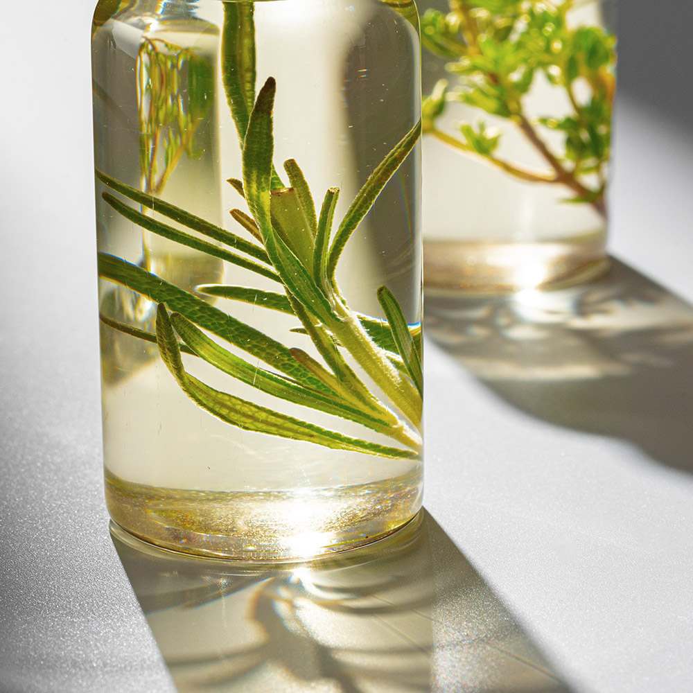 植物の力の発見